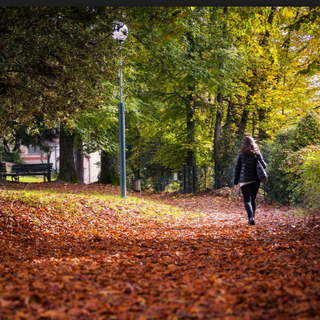 Parco Magni, bando per il nuovo gestore del bar