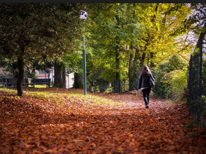 Parco Magni, bando per il nuovo gestore del bar