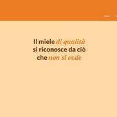 Nasce la pagina “Qualità Miele”: le analisi al centro della tutela del miele piemontese Nasce la pagina “Qualità Miele”: le analisi al centro della tutela del miele piemontese