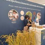 Risò: tra talk, show cooking e cultura una giornata per vivere a Vercelli Risò: tra talk, show cooking e cultura una giornata per vivere a Vercelli