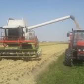 Presidio di Confagricoltura: «Mercato sempre più penalizzante. Il futuro del comparto è a rischio» Presidio di Confagricoltura: «Mercato sempre più penalizzante. Il futuro del comparto è a rischio»