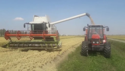 Presidio di Confagricoltura: «Mercato sempre più penalizzante. Il futuro del comparto è a rischio»