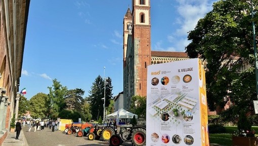 «Risò, è ora di fare i bilanci: costi, ricadute, visitatori» «Risò, è ora di fare i bilanci: costi, ricadute, visitatori»