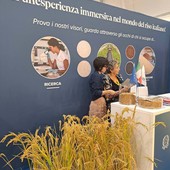 Risò: tra talk, show cooking e cultura una giornata per vivere a Vercelli Risò: tra talk, show cooking e cultura una giornata per vivere a Vercelli