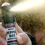 Polizia Penitenziaria, al via la sperimetazione con lo spray al peperoncino Polizia Penitenziaria, al via la sperimetazione con lo spray al peperoncino