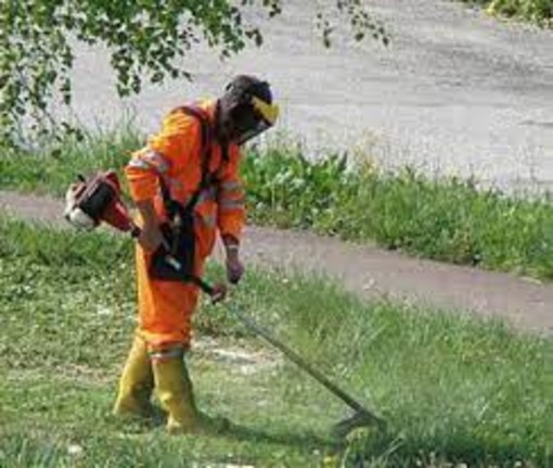 Taglio di erba e infestanti: il programma dei lavori in settimana
