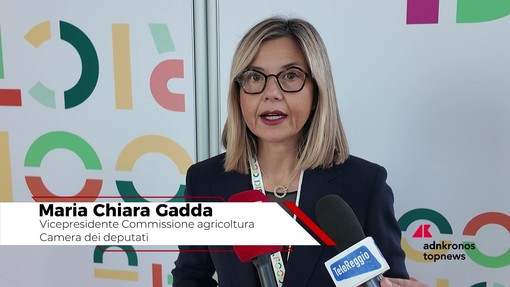 Ristorazione collettiva, Gadda: "Serve una cabina di regia nazionale"