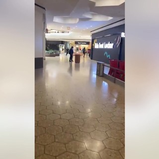 Paura in Usa, spari in un centro commerciale in Michigan: il video delle persone in fuga