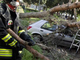 Cinque indagati per l'uomo ucciso dalla caduta di un albero