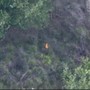 Vibo Valentia, appicca il fuoco in un bosco ma viene ripreso da un drone Vibo Valentia, appicca il fuoco in un bosco ma viene ripreso da un drone