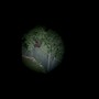 L'orso climber scavalca un'alta rete, il video di M123 avvistato nel Vicentino L'orso climber scavalca un'alta rete, il video di M123 avvistato nel Vicentino