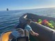Buca il gommone dei migranti nel canale della Manica, il video del suprematista britannico Danny Tommo
