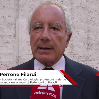 Perrone Filardi (Federico II), 'bene Safe Hearts Plan, raccomandazioni vanno applicate su territori'