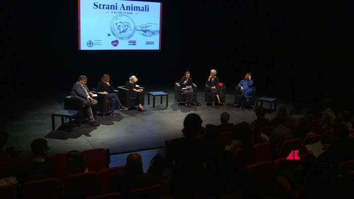 'Strani Animali e altre storie', il libro nato dai bambini che torna ai bambini