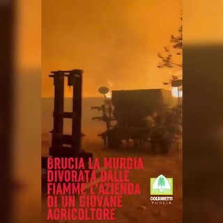 Incendio distrugge azienda agricola in Puglia, la disperazione dell'agricoltore
