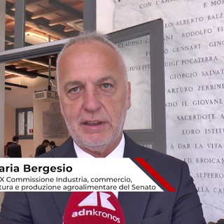 Economia: Bergesio (Lega), 'attrattività non è solo aumento del Pil ma anche stabilità per famiglie' Economia: Bergesio (Lega), 'attrattività non è solo aumento del Pil ma anche stabilità per famiglie'
