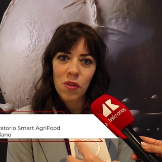 Mozzarella di bufala, Corbo (Polimi): "Ai e digitale alleati della qualità dei prodotti"