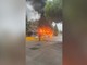 Proteste degli studenti in Francia, le immagini di un bus in fiamme a Marsiglia Proteste degli studenti in Francia, le immagini di un bus in fiamme a Marsiglia