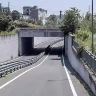 Sfalci nell'area del sottopasso, attenzione in viale Torricelli