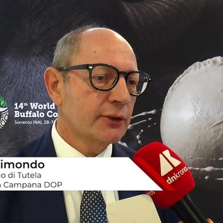 Raimondo (Consorzio Tutela Mozzarella di bufala campana Dop): "Siamo come cani da tartufo contro i falsi"