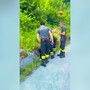Cucciolo di cane abbandonato, Vigili del Fuoco lo recuperano a 2 metri di profondità