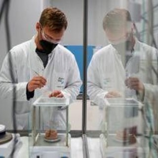 Carcinoma polmonare, ok Ema a lurbinectedina e immunoterapia in prima linea Carcinoma polmonare, ok Ema a lurbinectedina e immunoterapia in prima linea