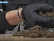 Maxi operazione della polizia: 1.335 arresti, sequestrati 450 kg di droga Maxi operazione della polizia: 1.335 arresti, sequestrati 450 kg di droga