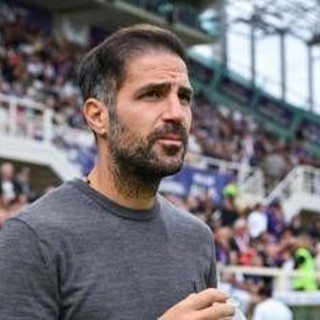 Serie A, oggi Torino-Como: orario, probabili formazioni e dove vederla Serie A, oggi Torino-Como: orario, probabili formazioni e dove vederla