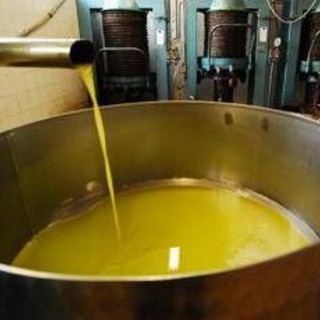 Unifol: "Per movimenti dell'olio sfuso sì alla bolla elettronica " Unifol: "Per movimenti dell'olio sfuso sì alla bolla elettronica "