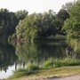 Milano, violentata mentre fa jogging al parco: si salva mordendo l'aggressore, arrestato 26enne