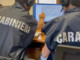 Pedopornografia e prostituzione minorile a Roma, arrestato 40enne