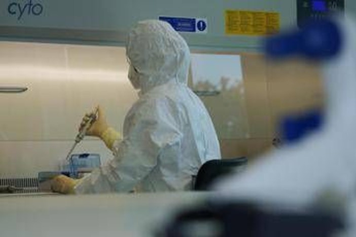 Giappone, Tokyo costruisce resilienza climatica con Ia e impegno dei cittadini Giappone, Tokyo costruisce resilienza climatica con Ia e impegno dei cittadini