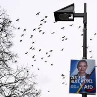Germania, Afd primo partito: il sondaggio premia l'estrema destra Germania, Afd primo partito: il sondaggio premia l'estrema destra