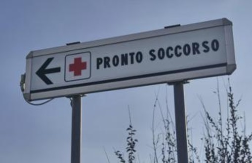 Morso di zecca e rischio encefalite, Bassetti: "Grave infezione virale, massima attenzione"