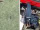 Omicidio 19enne a Crema, trovato un coltello nell'Adda Omicidio 19enne a Crema, trovato un coltello nell'Adda