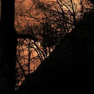 Incendi, Vigili del fuoco al lavoro dal Piemonte al Sud: "Bruciati +15% ettari rispetto a scorso anno"