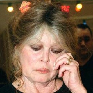 Brigitte Bardot ricoverata di nuovo, media: "In ospedale da 10 giorni" Brigitte Bardot ricoverata di nuovo, media: "In ospedale da 10 giorni"