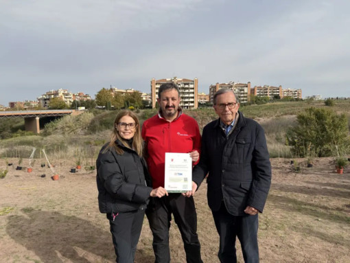 Tim pianta 400 nuovi alberi a Roma per migliorare l’ambiente urbano Tim pianta 400 nuovi alberi a Roma per migliorare l’ambiente urbano