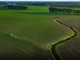 Portavoce Cina, pronti a facilitare commercio agricolo bilaterale con Usa