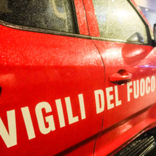 Leccio monumentale incendiato a Bagno a Ripoli, identificati 4 minori: volevano cuocere wurstel Leccio monumentale incendiato a Bagno a Ripoli, identificati 4 minori: volevano cuocere wurstel