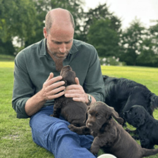William e Kate condividono l'amore di Elisabetta II per i cani, James Middleton spiega perché William e Kate condividono l'amore di Elisabetta II per i cani, James Middleton spiega perché