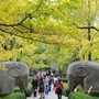 Cina, cresce il mercato interno del turismo Cina, cresce il mercato interno del turismo