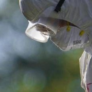 Aviaria, l'allarme dell'Ecdc: &quot;In Europa più rischi per l'uomo&quot;, cosa sta succedendo