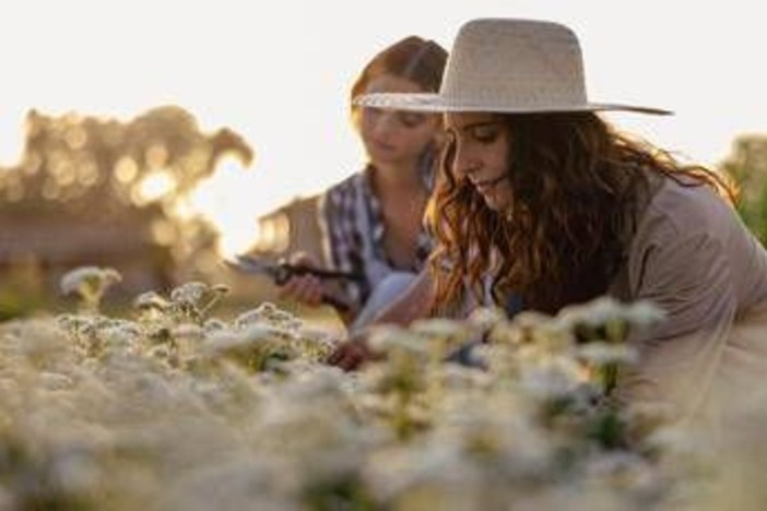 Sostenibilità, torna 'The Good Farmer Award': candidature aperte fino al 15 maggio
