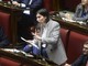 Pd evita frattura alla Camera, non si vota la risoluzione 'no al riarmo' Pd evita frattura alla Camera, non si vota la risoluzione 'no al riarmo'