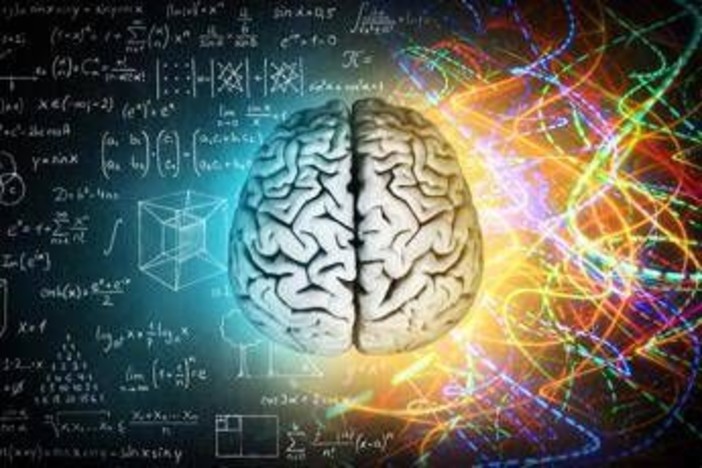 Milano, BrainSpace house per scoprire legame tra benessere di mente e cervello Milano, BrainSpace house per scoprire legame tra benessere di mente e cervello