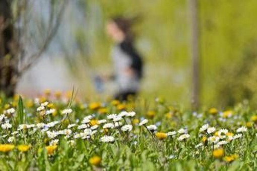 Stop alle piogge, arriva la primavera: sole e temperature in salita in tutta Italia Stop alle piogge, arriva la primavera: sole e temperature in salita in tutta Italia