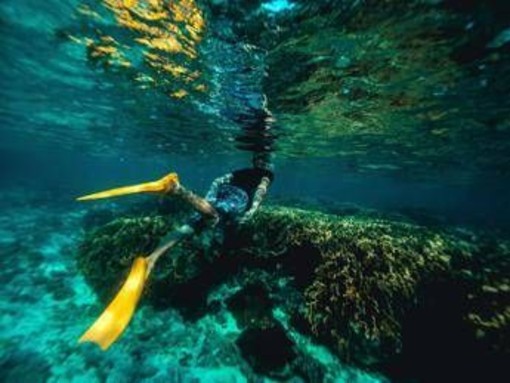 Italiani morti alle Maldive, l'ipotesi: "Uno in difficoltà, gli altri in soccorso"