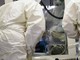 Ebola, la conferma di un focolaio in Congo: "246 casi sospetti e 65 morti"