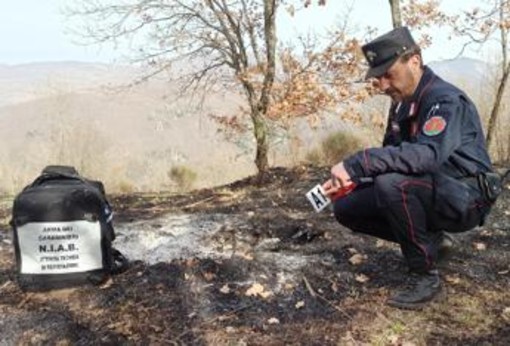 Incendi, Carabinieri Forestali: "98% causati dall'uomo, in primi 6 mesi 3800 ettari bruciati"
